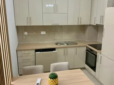 Rent, one bedroom apartment, 48m², New City, Podgorica - image 3