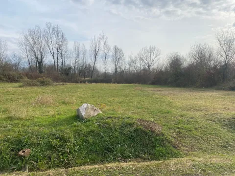 Pogled na zeleni plac sa drvećem u pozadini. - image 5