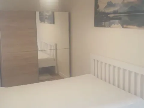 Izdavanje, jednosoban stan, 47m², Central Point, Podgorica - image 3