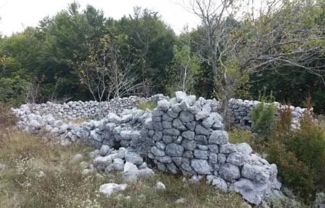 Prodaja, plac, 20000m², Cetinje, Crna Gora
