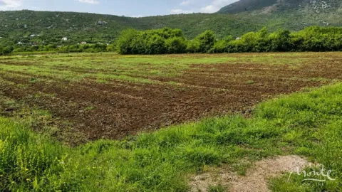 Prodaja, plac, 7470m², Beri, Podgorica - image 2