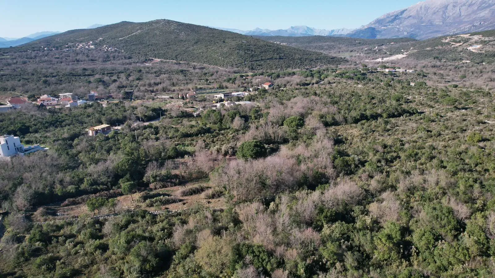 Prodaja, plac, 2450m², Krimovica, Kotor