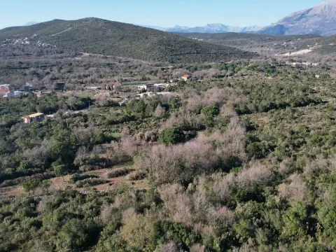 Prodaja, plac, 2450m², Krimovica, Kotor - image 10