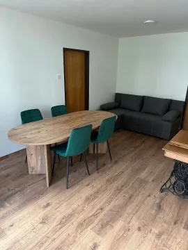 Izdavanje, jednosoban stan, 54m², Centar, Cetinje - image 3