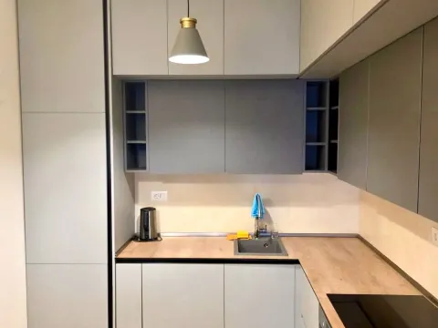 Izdavanje, jednosoban stan, 47m², Zabjelo, Podgorica - image 4