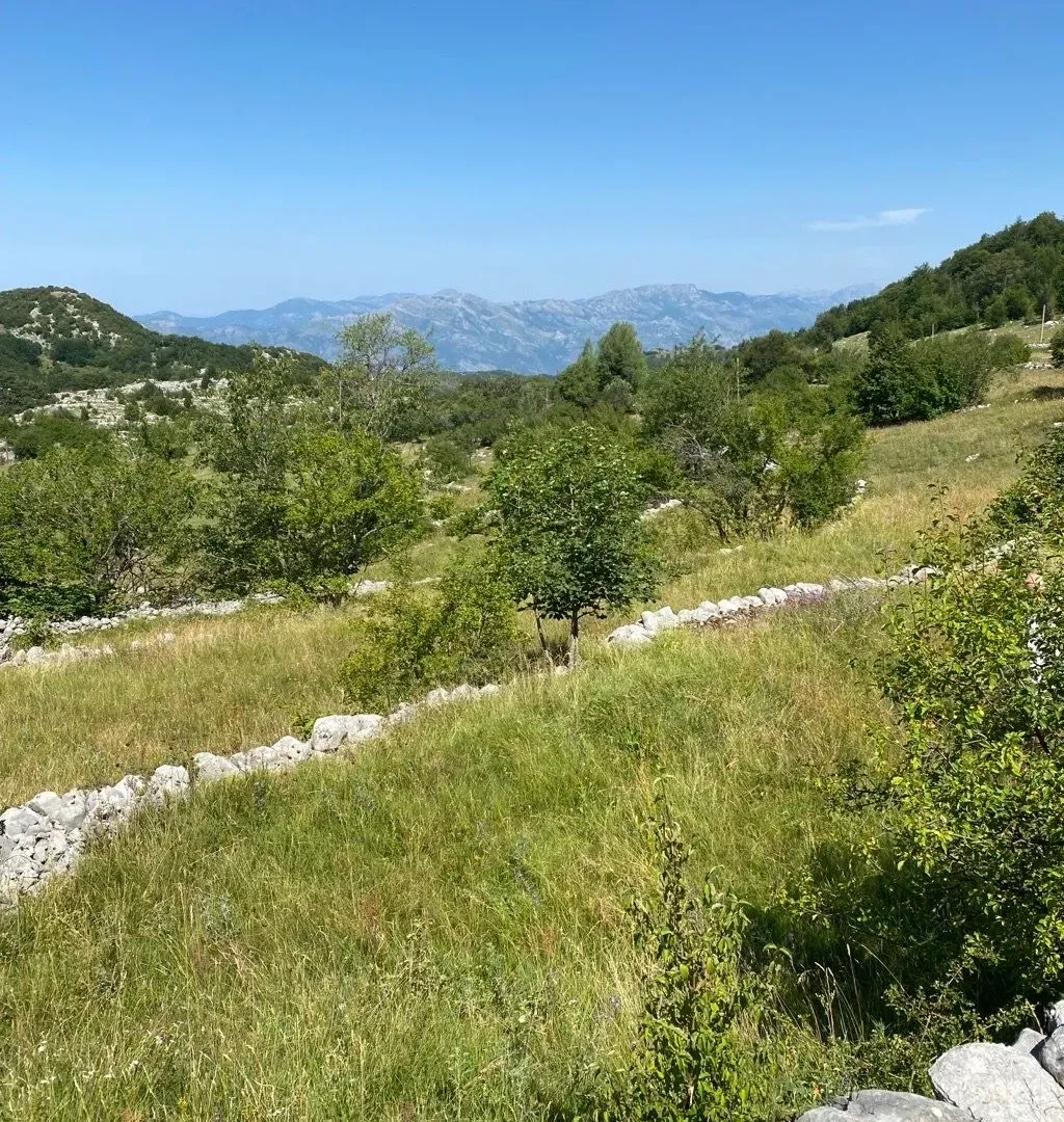 Sale, land lot, 30000m², Kuči, Podgorica