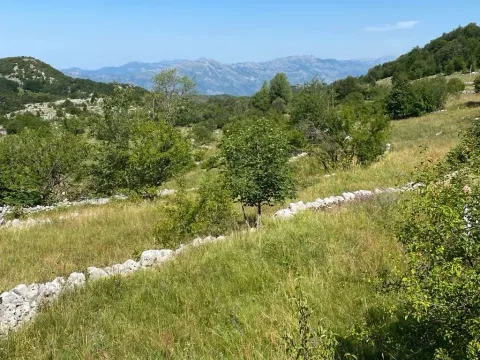 Sale, land lot, 30000m², Kuči, Podgorica - image 4