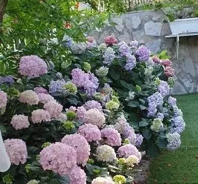 Prodaja, kuća, 300m², Bar, Crna Gora - image 4