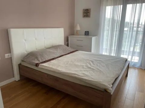 Izdavanje, jednosoban stan, 47m², Zagorič, Podgorica - image 7