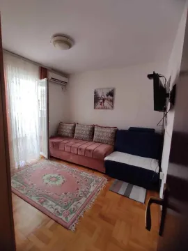 Dnevna soba sa kaučem, tepihom i izlazom na terasu. - image 4