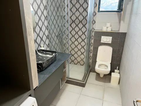 Modern bathroom with a walk-in shower, basin and toilet. - image 9