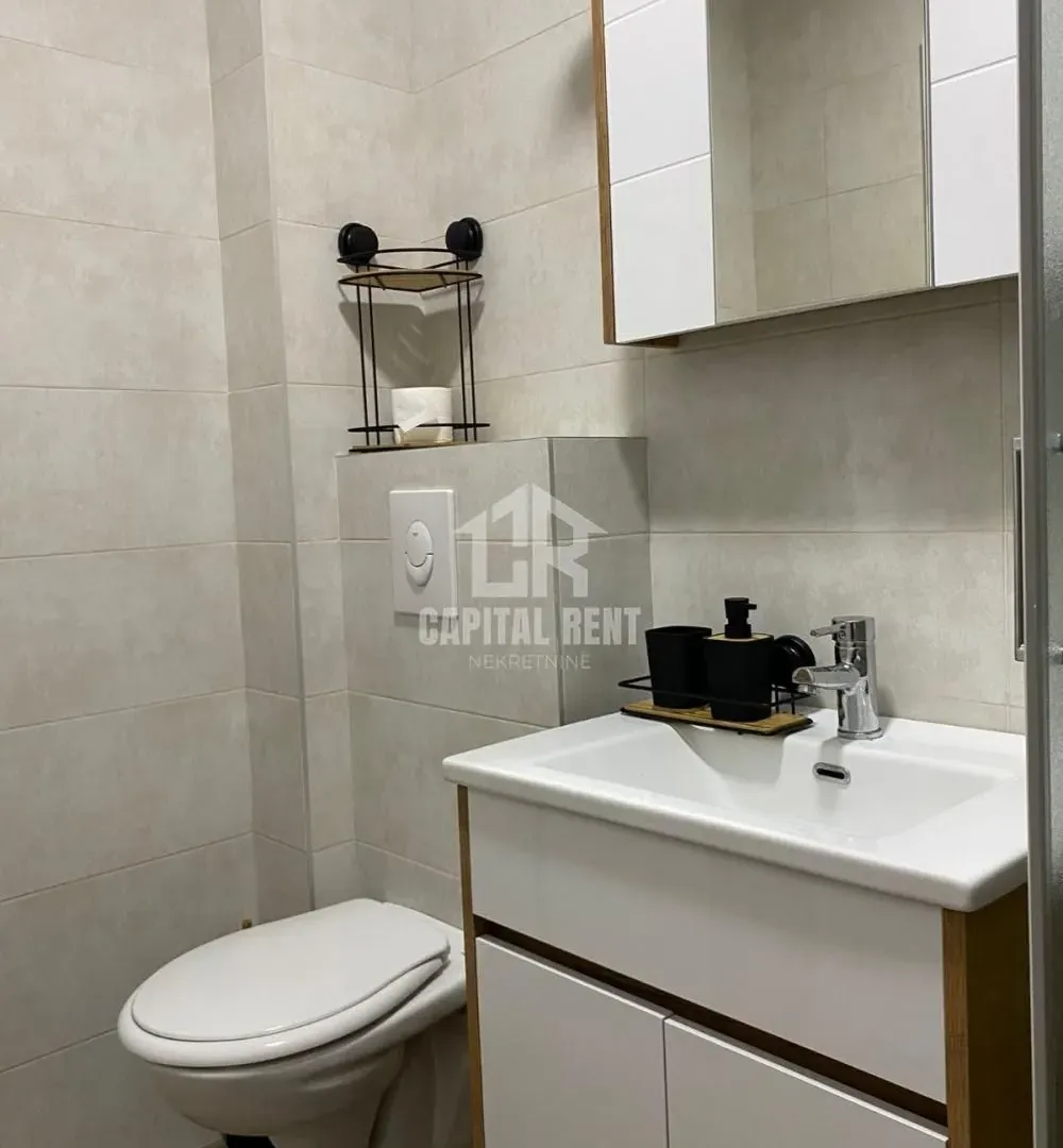 Izdavanje, dvosoban stan, 47m², Ledine, Beograd