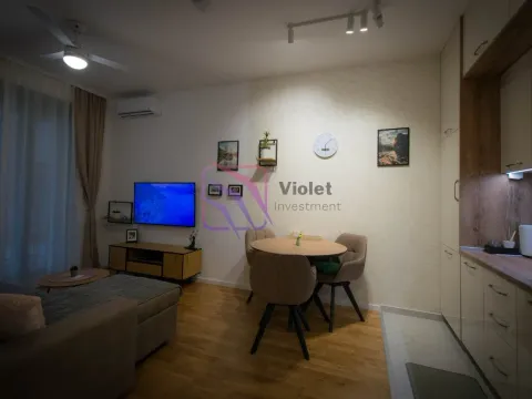 Rent, one bedroom apartment, 44m², Tološi, Podgorica - image 6