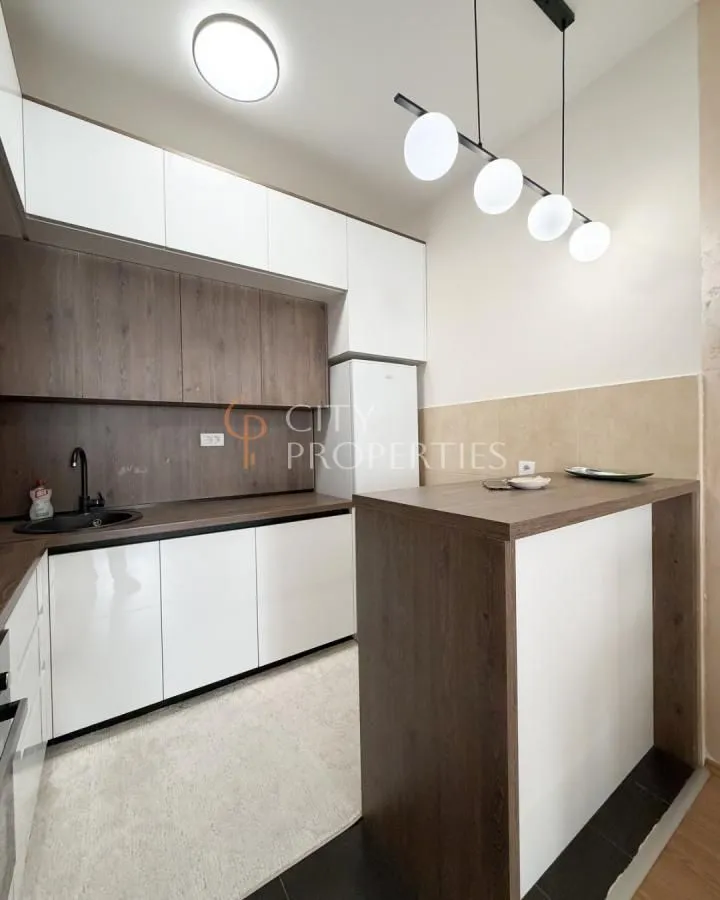 Rent, apartment, 46m², Ljubović, Podgorica