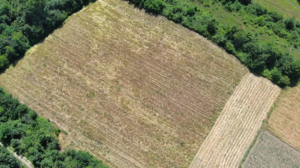 Prodaja, plac, 17000m², Zeta, Podgorica