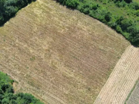 Prodaja, plac, 17000m², Zeta, Podgorica - image 7