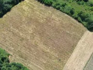 Sale, land lot, 17000m², Zeta, Podgorica - image 7