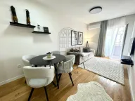 Izdavanje, jednosoban stan, 40m², Central Point, Podgorica - image 1