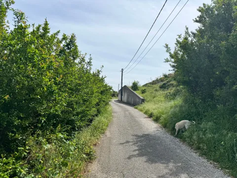Prodaja, plac, 800m², Glavati, Kotor - image 14