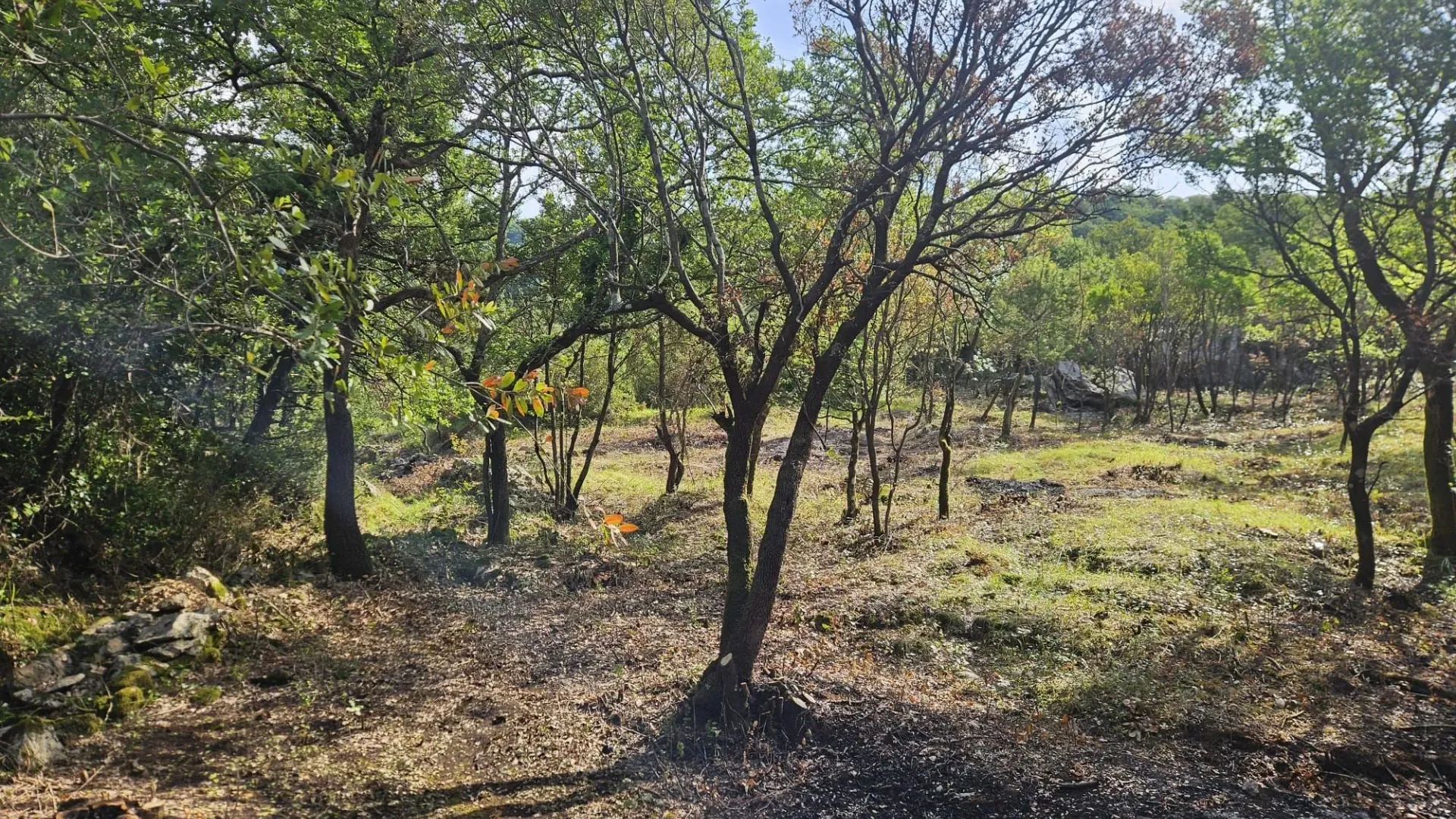 Prodaja, plac, 500m², Mojdež, Herceg Novi