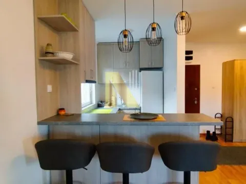 Izdavanje, jednosoban stan, 42m², Telep, Novi Sad Sve Podlokacije - image 6