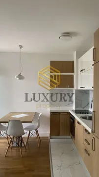 Rent, one bedroom apartment, 35m², Zabjelo, Podgorica - image 12