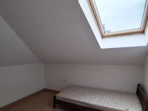 Izdavanje, poslovni prostor, 750m², Telep, Novi Sad Sve Podlokacije - image 16