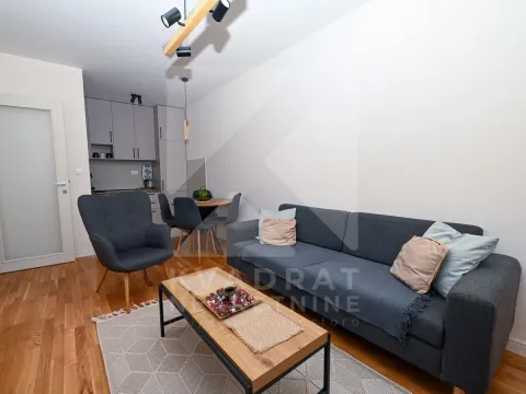 Rent, one bedroom apartment, 40m², Zabjelo, Podgorica - image 1
