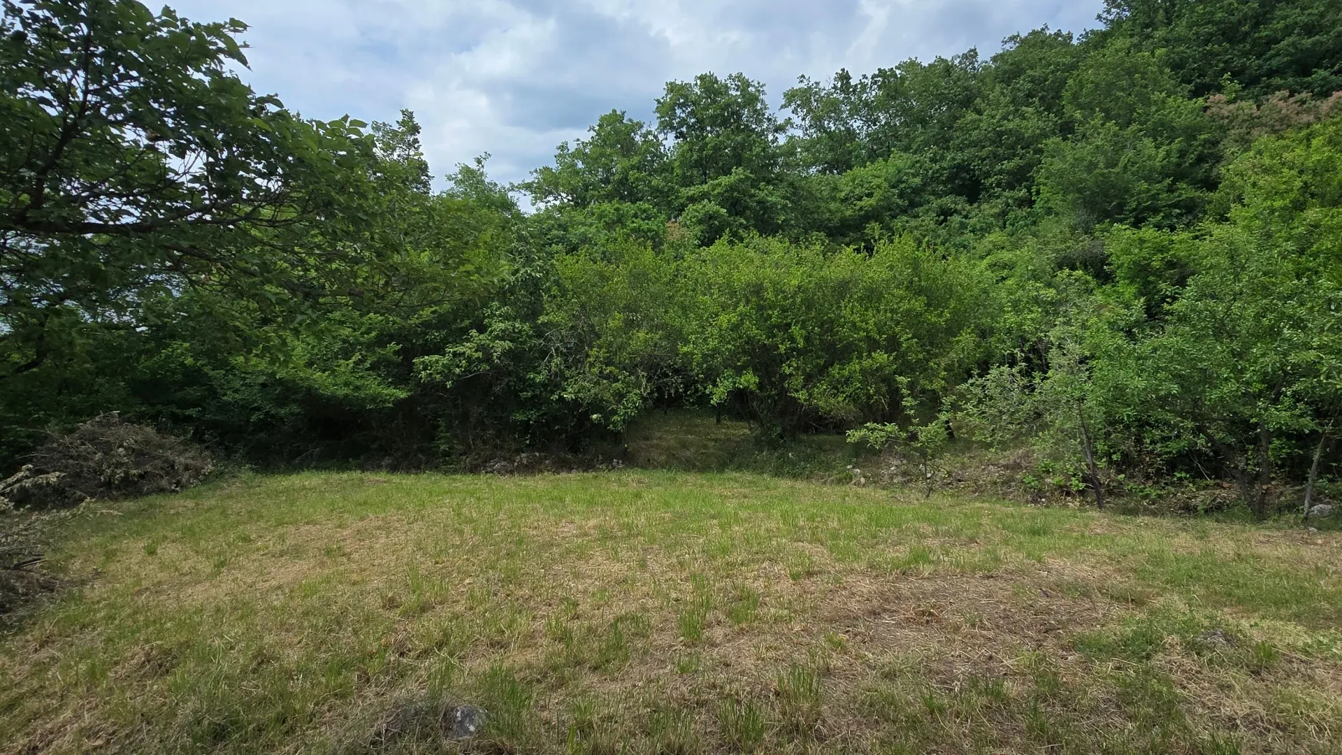 Prodaja, plac, 8000m², Piperi, Podgorica
