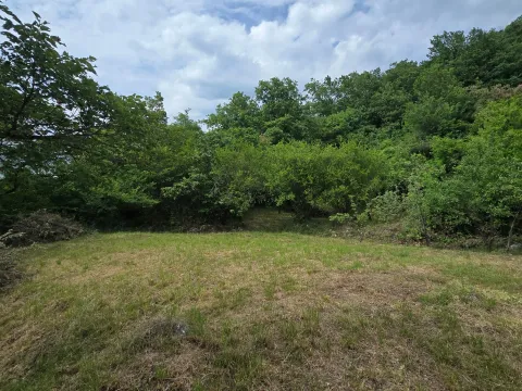 Prodaja, plac, 8000m², Piperi, Podgorica - image 2