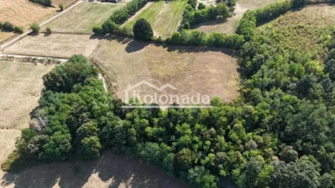 Pogled iz vazduha na zemljište okruženo zelenilom i šumom. - image 7