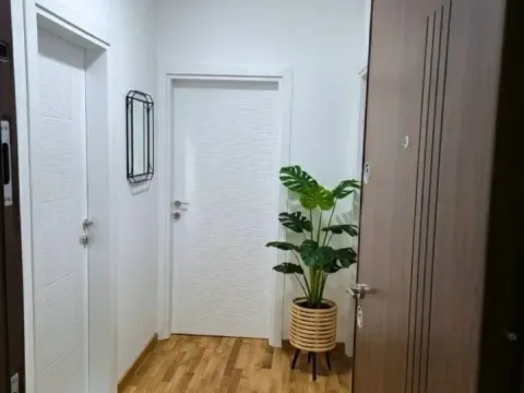 Izdavanje, jednosoban stan, 47m², Zagorič, Podgorica - image 5