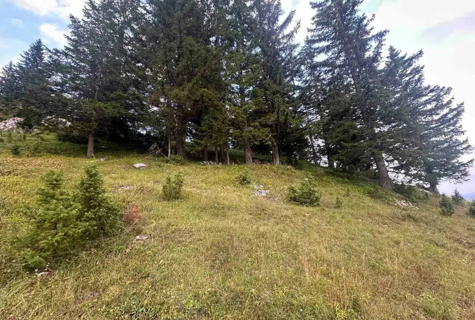 Prodaja, plac, 1303m², Žabljak, Crna Gora