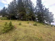 Sale, land lot, 1303m², Žabljak, Crna Gora - image 4