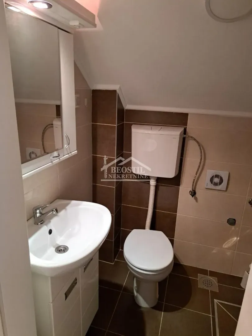 Smaller bathroom with a washbasin, mirror, and toilet.