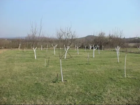 Prodaja, plac, 2000m², Danilovgrad, Crna Gora - image 3