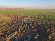 Prodaja, plac, Batajnica, Beograd - image 11