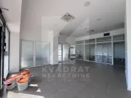 Izdavanje, poslovni prostor, 362m², Ljubović, Podgorica - image 29