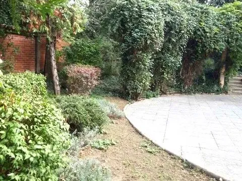 Izdavanje, kuća, 375m², Savski Venac, Beograd - image 16