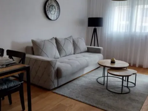 Izdavanje, jednosoban stan, 45m², City Kvart, Podgorica - image 10