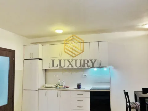 Rent, one bedroom apartment, 49m², Stari Aerodrom, Podgorica - image 3