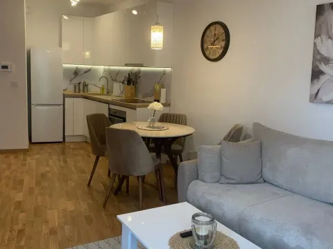 Rent, one bedroom apartment, 45m², Bečići, Budva - image 3