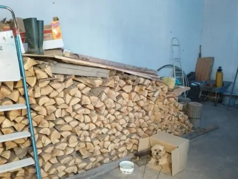 Prodaja, kuća, 300m², Batočina, Srbija - image 29