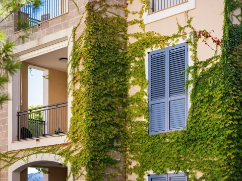 Sale, one bedroom apartment, 57m², Luštica Bay, Tivat - image 18