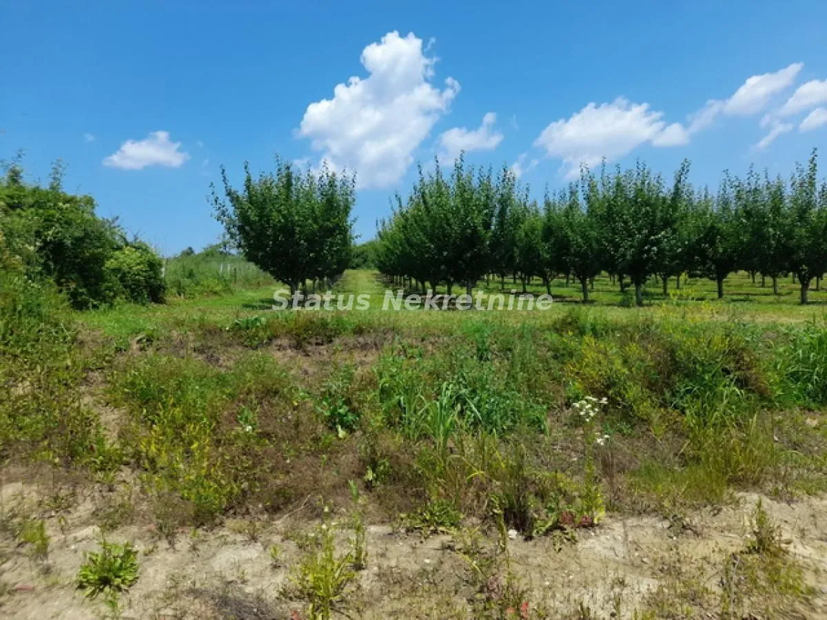 Prodaja, plac, 3000m², Banja Vrdnik, Irig