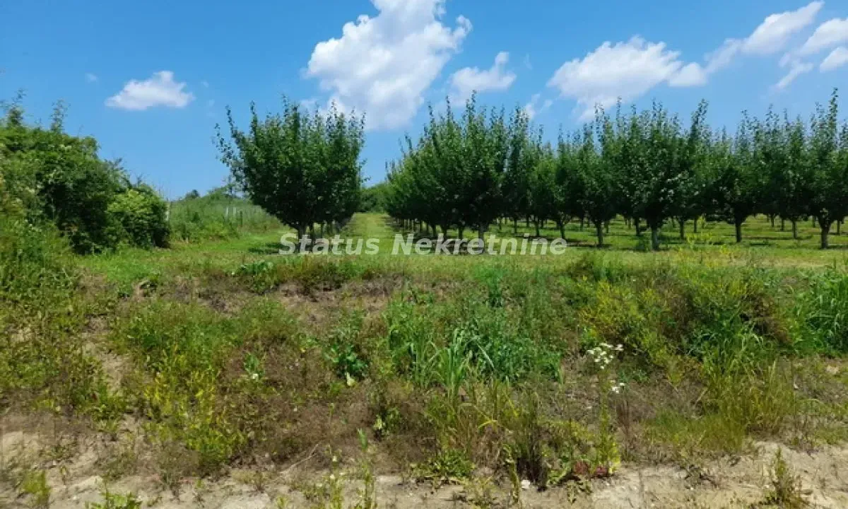Sale, land lot, 3000m², Banja Vrdnik, Irig