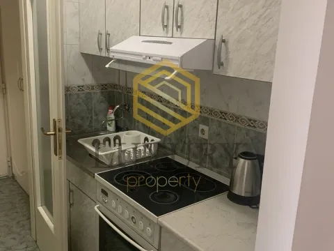 Izdavanje, jednosoban stan, 45m², Preko Morače, Podgorica - image 4