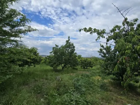 Prodaja, plac, 1100m², Ritopek, Grocka - image 9
