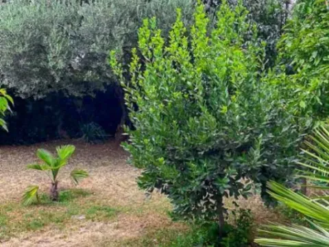 Prodaja, kuća, 320m², Zagorič, Podgorica - image 6