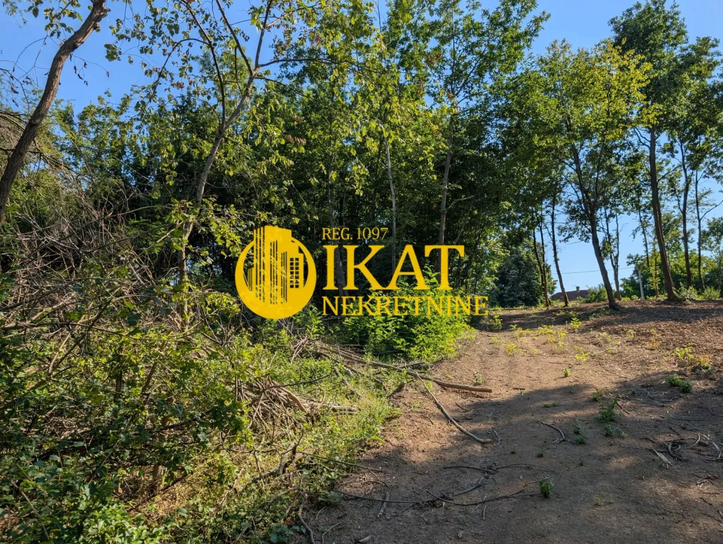 Pogled na plac sa drvećem i rastinjem.